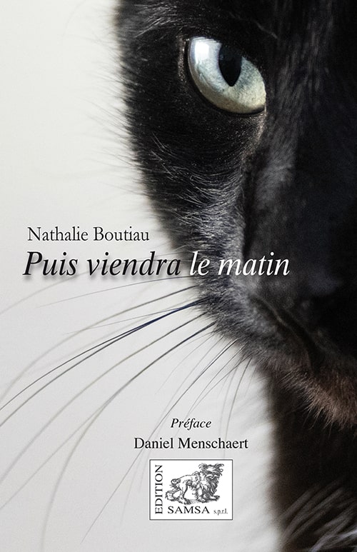 Puis viendra le matin - roman